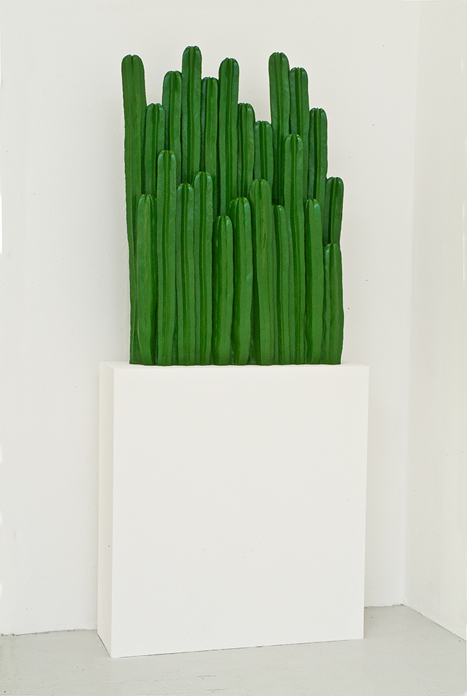 Poupak Sarah Shoughi, Cactus (2013)